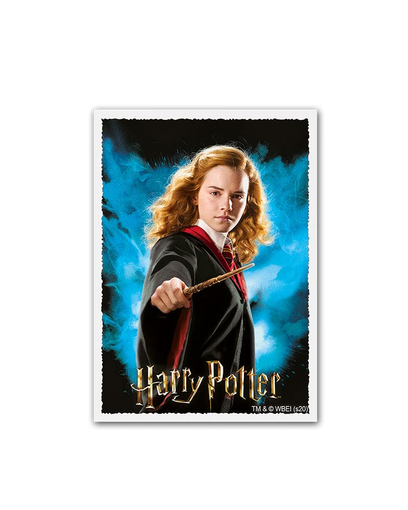 Arcane Tinmen Dragon Shield Sleeves - Matte Art 100 CT - MGT Card Sleeves - Compatible with Magic The Gathering Card Sleeves Pokemon and Other Card Games - Hermione Granger, ART16020