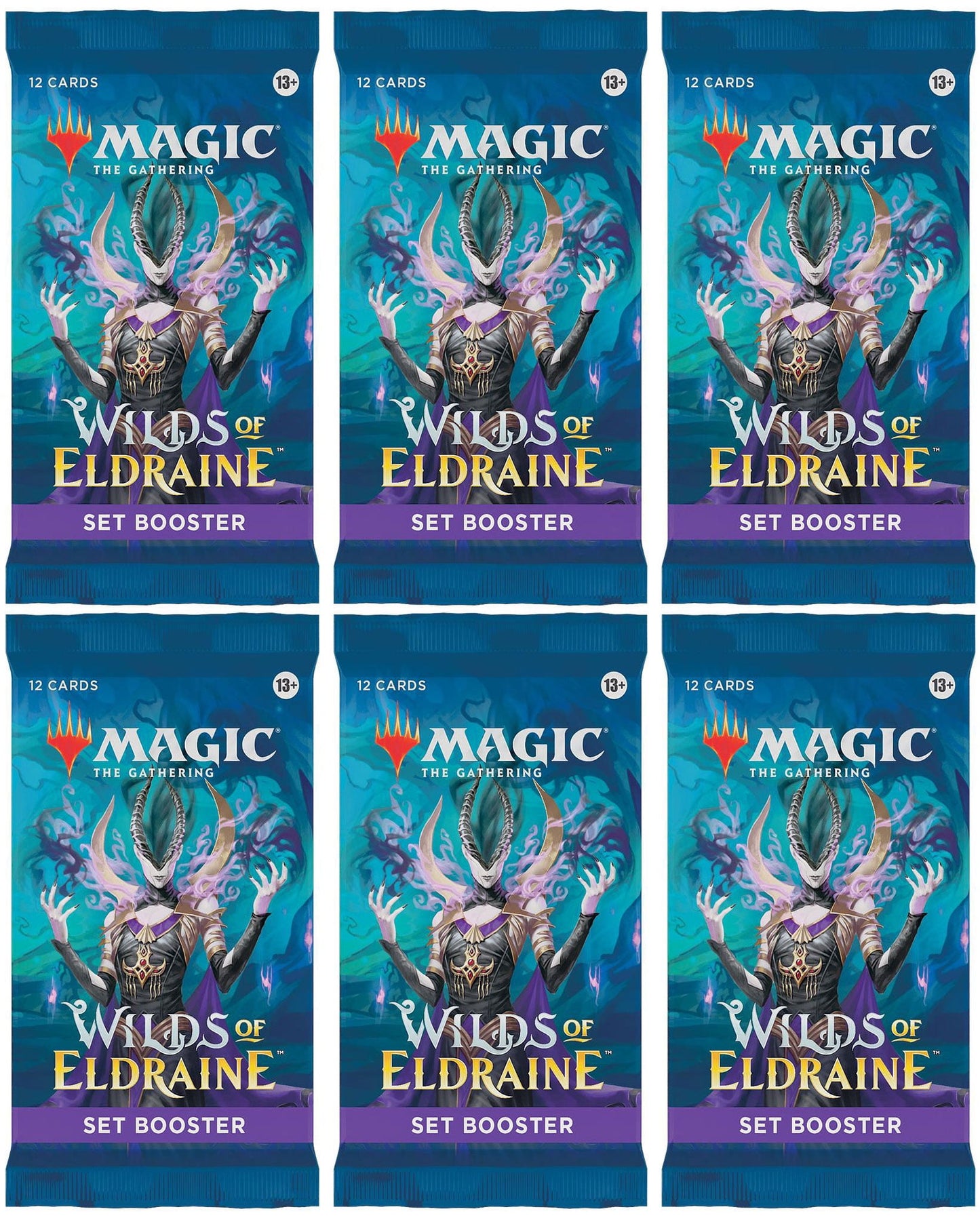 6 Packs MTG Set Booster Pack Lot MTG Wilds of Eldraine