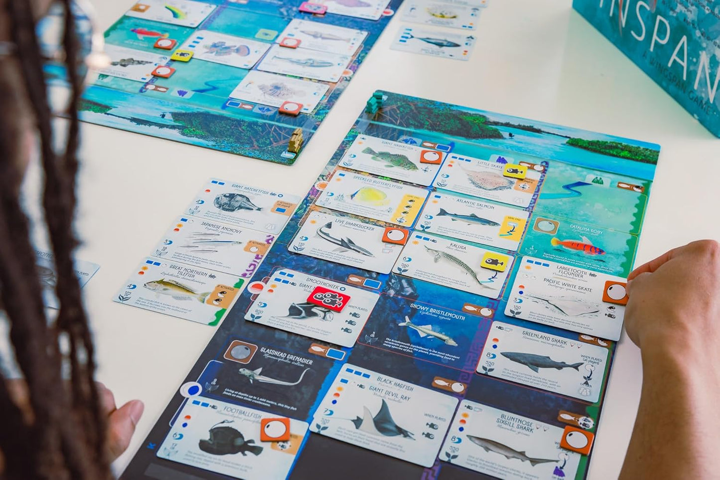 Stonemaier Games: Finspan - A Wingspan Game by David Gordon & Michael O’Connell | A Relaxing Strategy Board Game About Collecting Fish for Adults and Family | 1-5 Players, 60 Mins, Ages 14+
