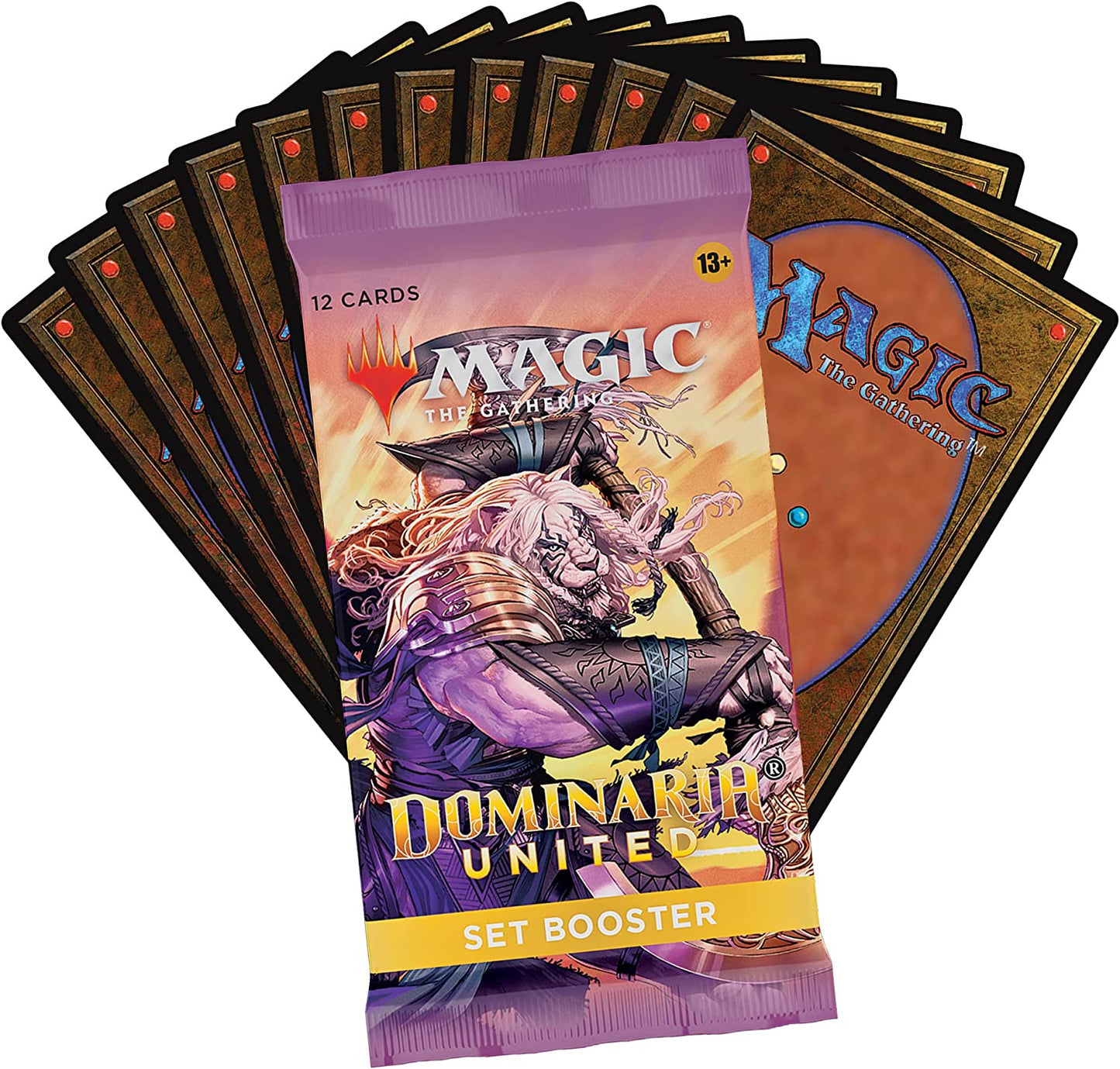 Magic: The Gathering Set Booster Box - Dominaria United