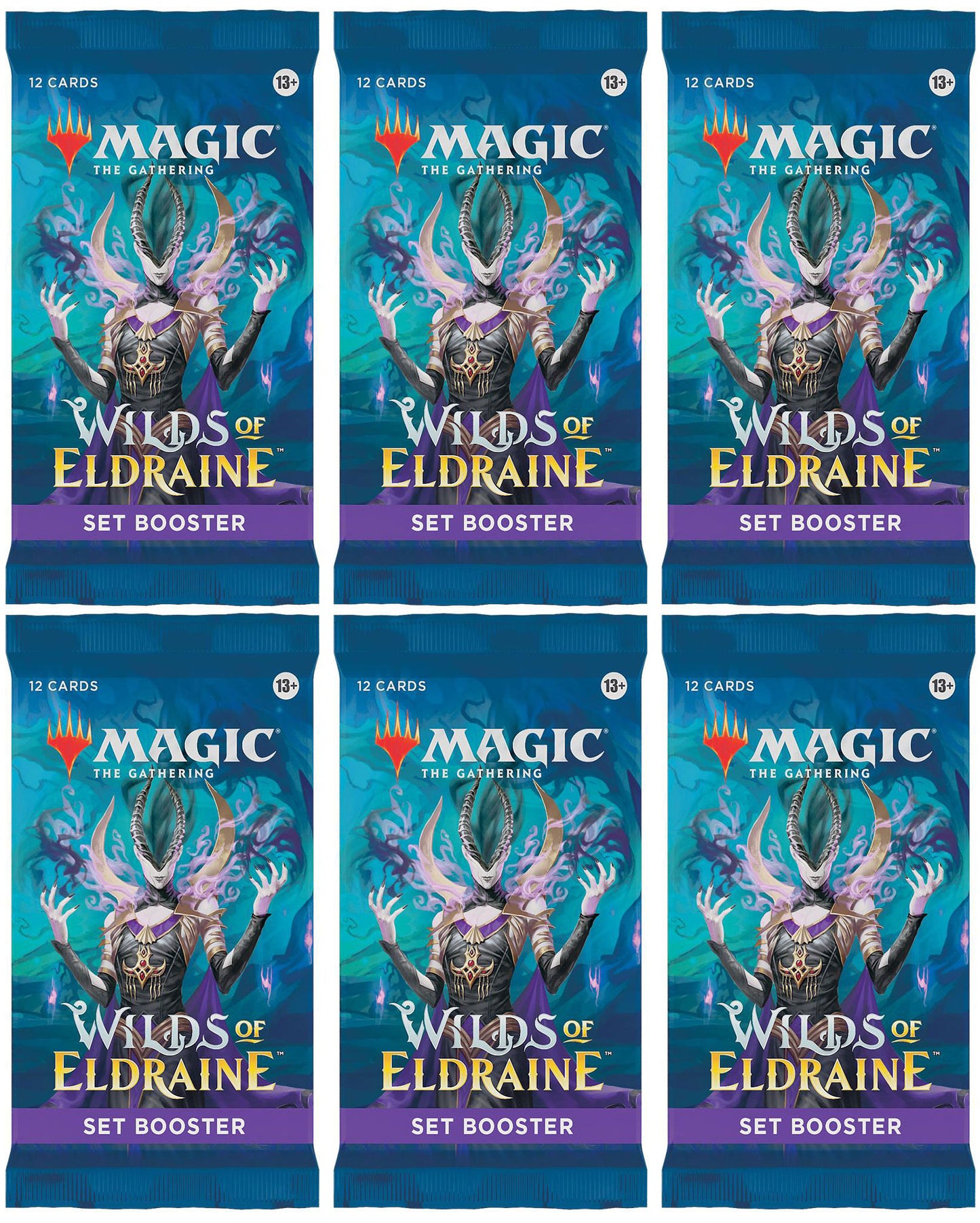 6 Packs MTG Set Booster Pack Lot MTG Wilds of Eldraine