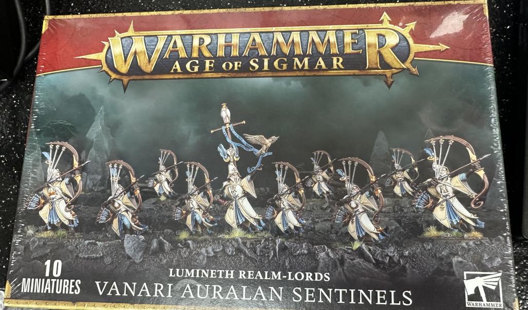 Lumineth Realm-Lords - Vanari Bladelords: Games Workshop Warhammer Age...