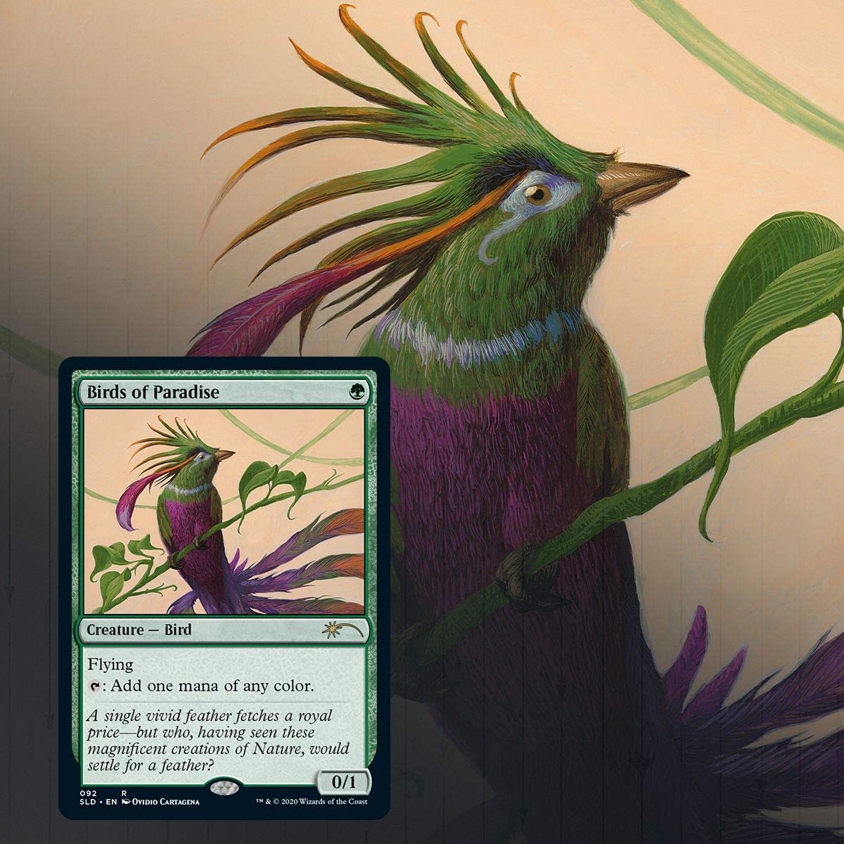 Magic: The Gathering Secret Lair - Non-Foil Edition - Ornithological Studies