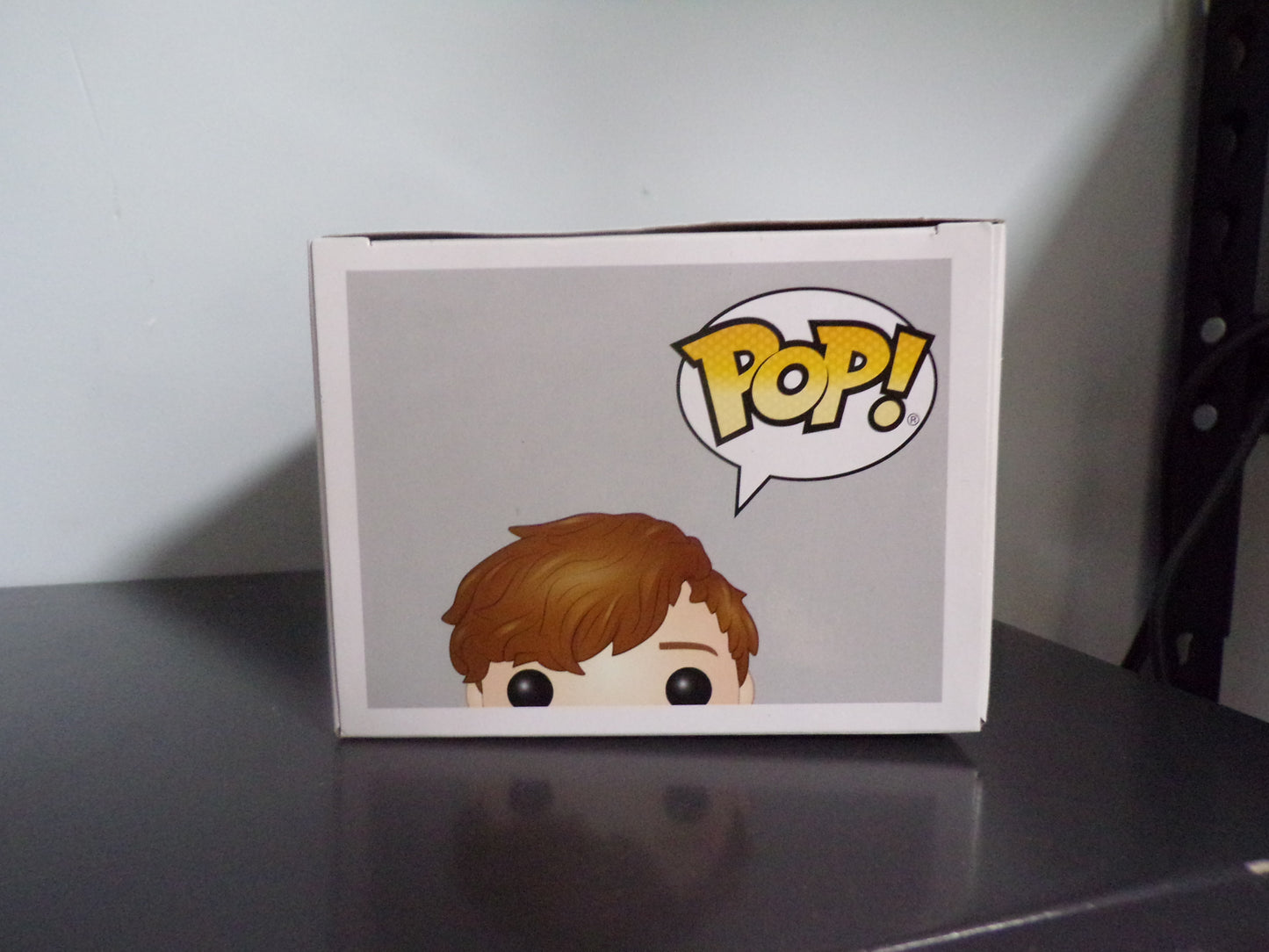 Funko Pop! Fantastic Beasts - Newt Scamander #02