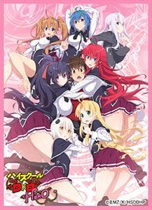 High School DxD Hero Card Game Character Mat Sleeves Collection MT495 Anime Girls Art