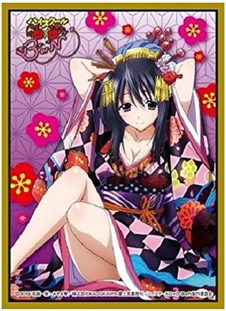 Chara Sleeve Collection Mat Series [High School DxD BorN] Akeno Himejima (No.MT212)