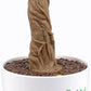 eKids Guardians of the Galaxy Baby Groot Figure with Built-in Song, Dancing Groot Moves Along to ‘I Want You Back’ by The Jackson 5