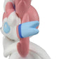 Takara Tomy Pokemon Moncolle 2 Inch Figure MS-50 Sylveon