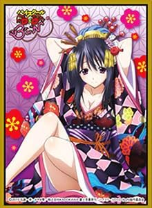 Chara Sleeve Collection Mat Series [High School DxD BorN] Akeno Himejima (No.MT212)
