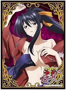 High School D×D BorN Akeno Himejima Card Game Character Sleeve Collection Mat Series No.MT244 Anime Girl Highschool DxD 244