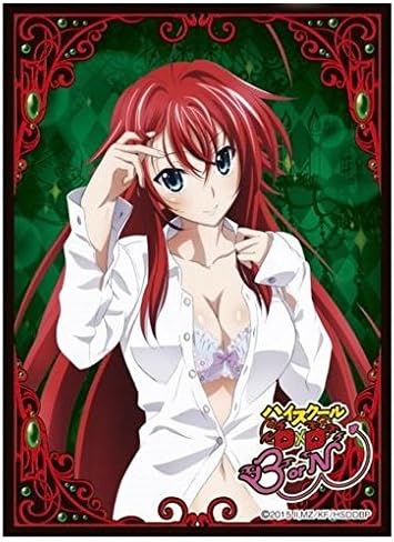 Chara Sleeve Collection High School DxD Born Rias Gremory Card Game Sleeve Mat No.MT243