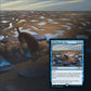 Magic the Gathering: Secret Lair - Every Dog Has Its Day (Foil Edition)