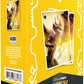Ultra PRO - Tarkir Dragonstorm Betor, Kin to All 105ct APEX Deck Protector™ Sleeves for Magic: The Gathering