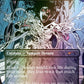Magic: The Gathering Secret Lair x Dungeons & Dragons: Strahd's Descent Foil Edition