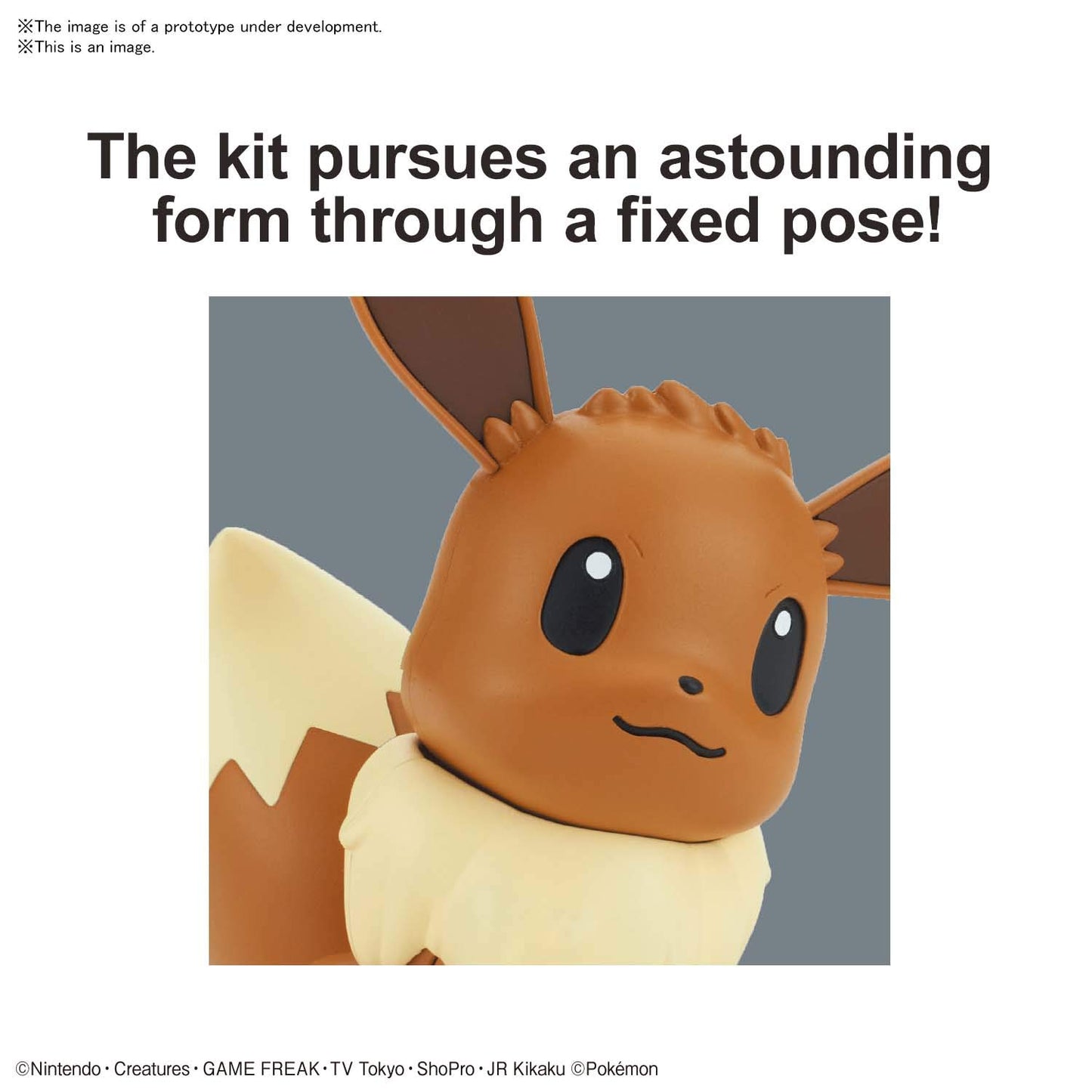 Bandai Hobby - Pokemon - 04 Eevee, Bandai Spirits Pokemon Model KitQucik!!