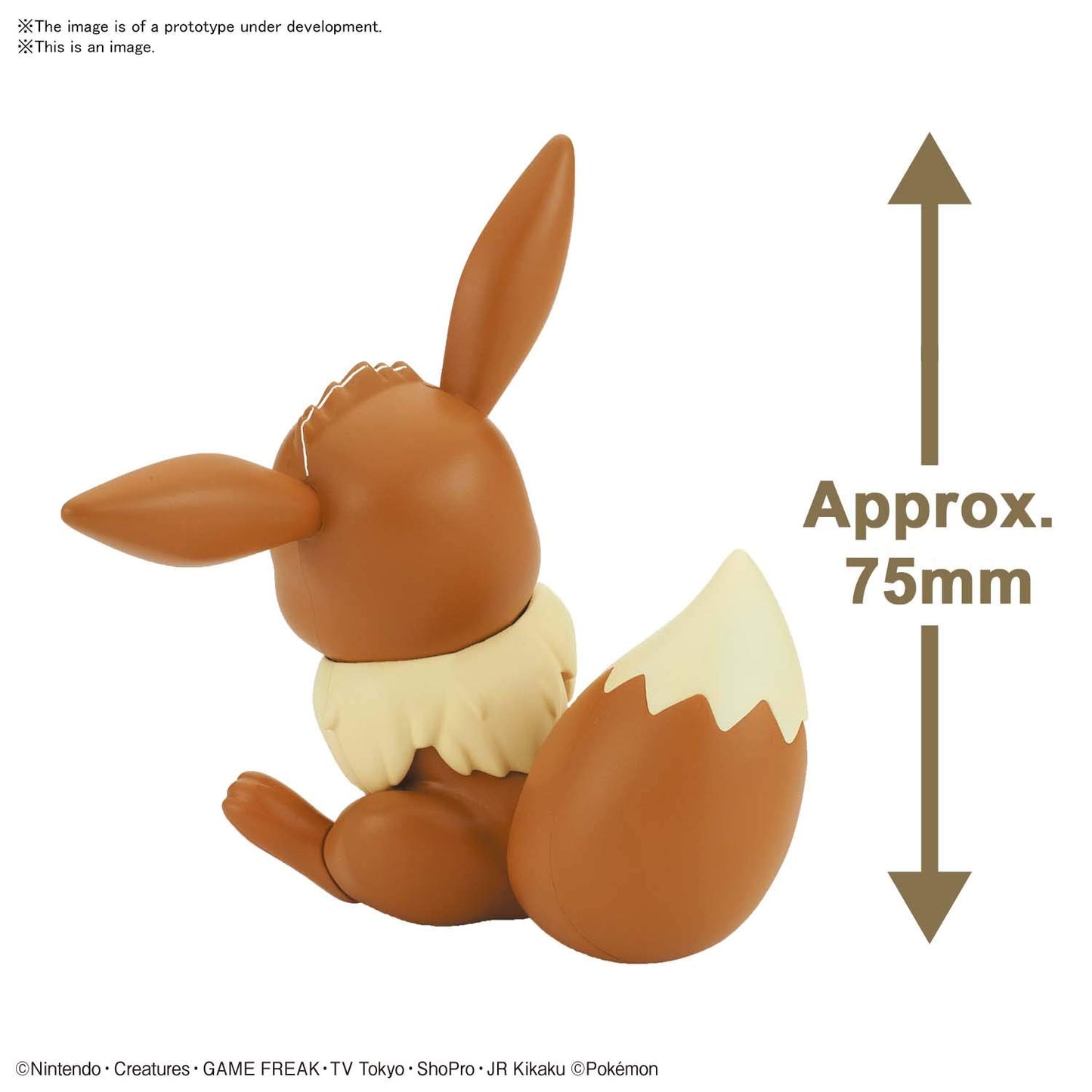 Bandai Hobby - Pokemon - 04 Eevee, Bandai Spirits Pokemon Model KitQucik!!