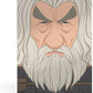 Ultimate Guard - Squaroes - Boulder 100+ - Lord of the Rings - LOTR003 - Gandalf the Grey