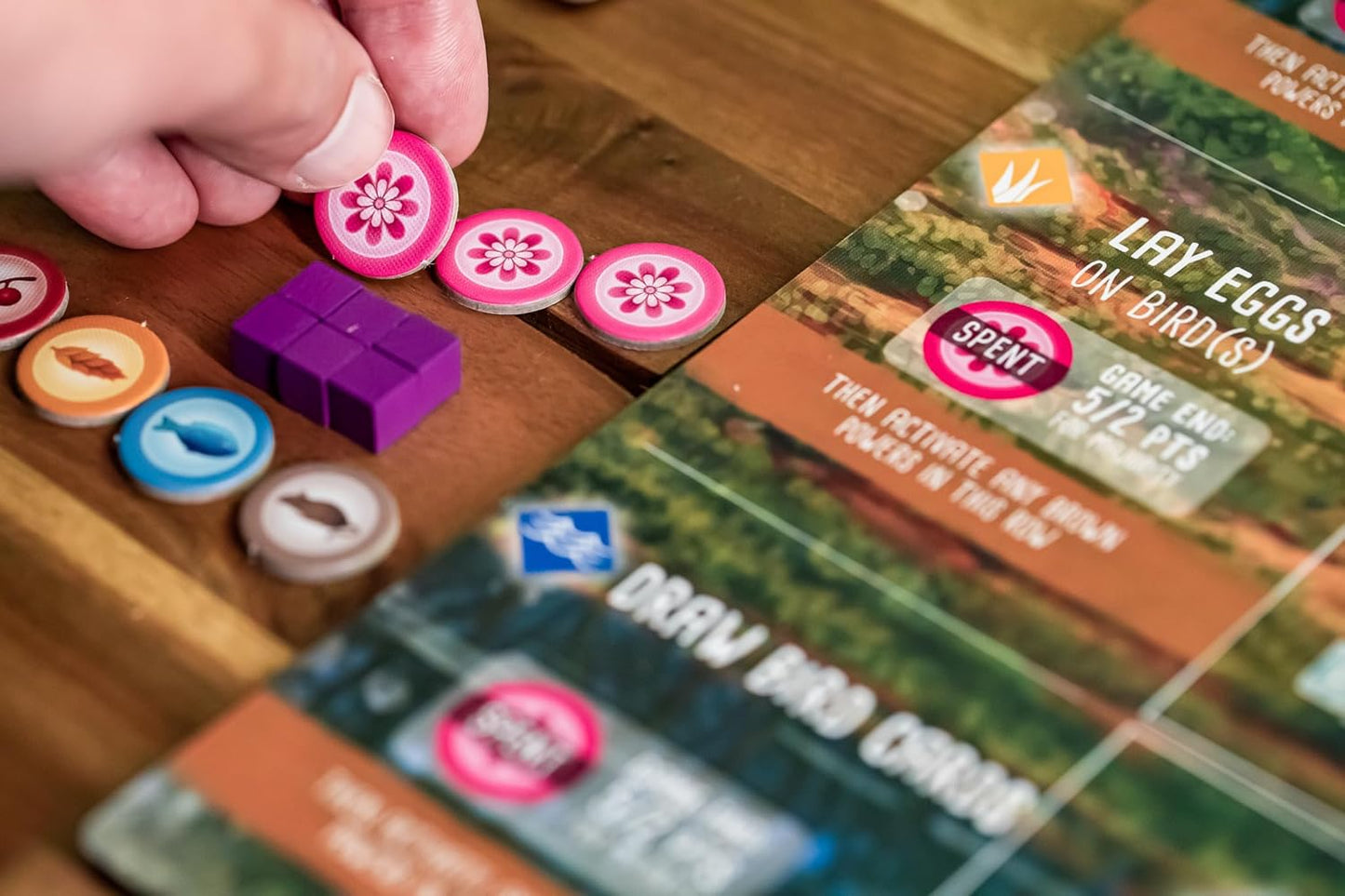 Stonemaier Games: Wingspan Oceania Expansion