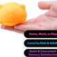 Schylling Needoh Wild Cats Fuzz Ball - Sensory Squeeze Toy - Colors May Vary