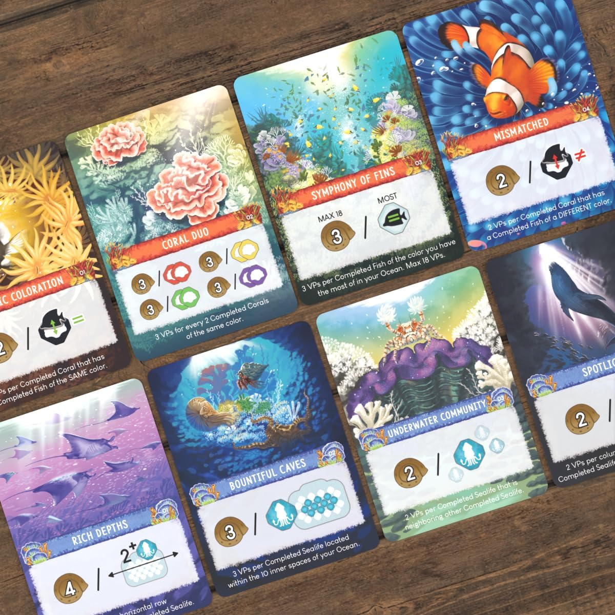 Shallow Sea | Board Game Set in The Great Barrier Reef | Puzzle & Strategy | Ages 10+