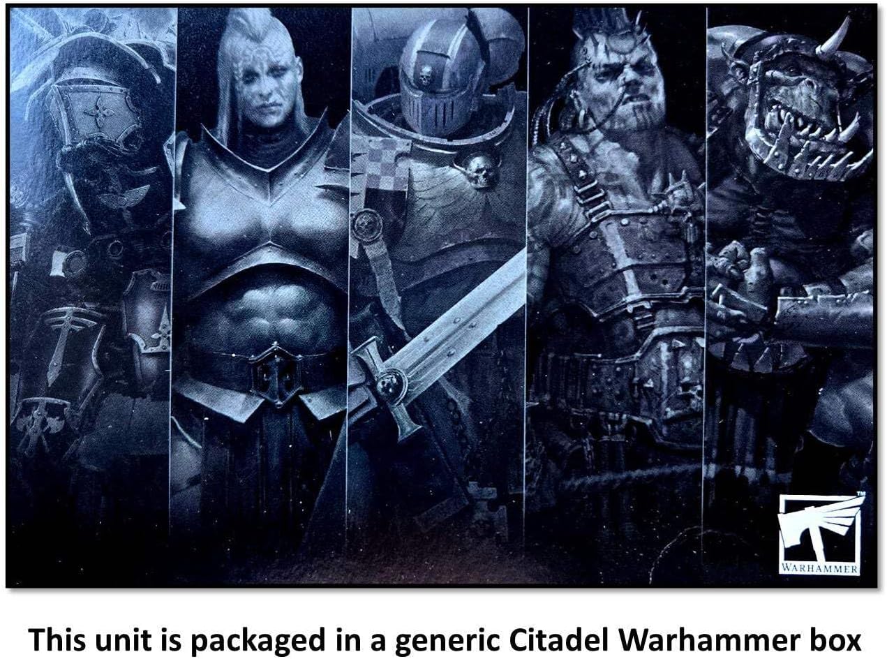 Games Workshop - Warhammer Age of Sigmar - Maggotkin of Nurgle - Plague Drones
