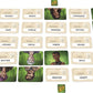 Codenames: Duet - The Two Player Word Deduction Game by CGE Czech Games Edition