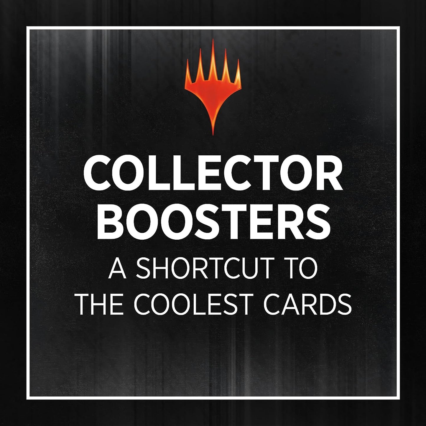 Magic: The Gathering The Lord of The Rings: Tales of Middle-Earth Special Edition Collector Booster - 15 Magic Cards