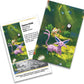 Pokémon TCG: 30th Celebration Mini Tin Espeon & Meowth (1 Sticker, 1 Photo Card and 2 Boosters)