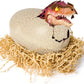 Primal Hatch Jurassic World Interactive Toy Dinosaur & Egg, Hatch & Train Your own Baby Dino with 100+ Sounds & Reactions, Kids Toys for Boys & Girls Aged 5 & Up