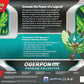 Pokemon TCG: Ogerpon ex Premium Collection (3 Foil Cards & 6 Boosters)
