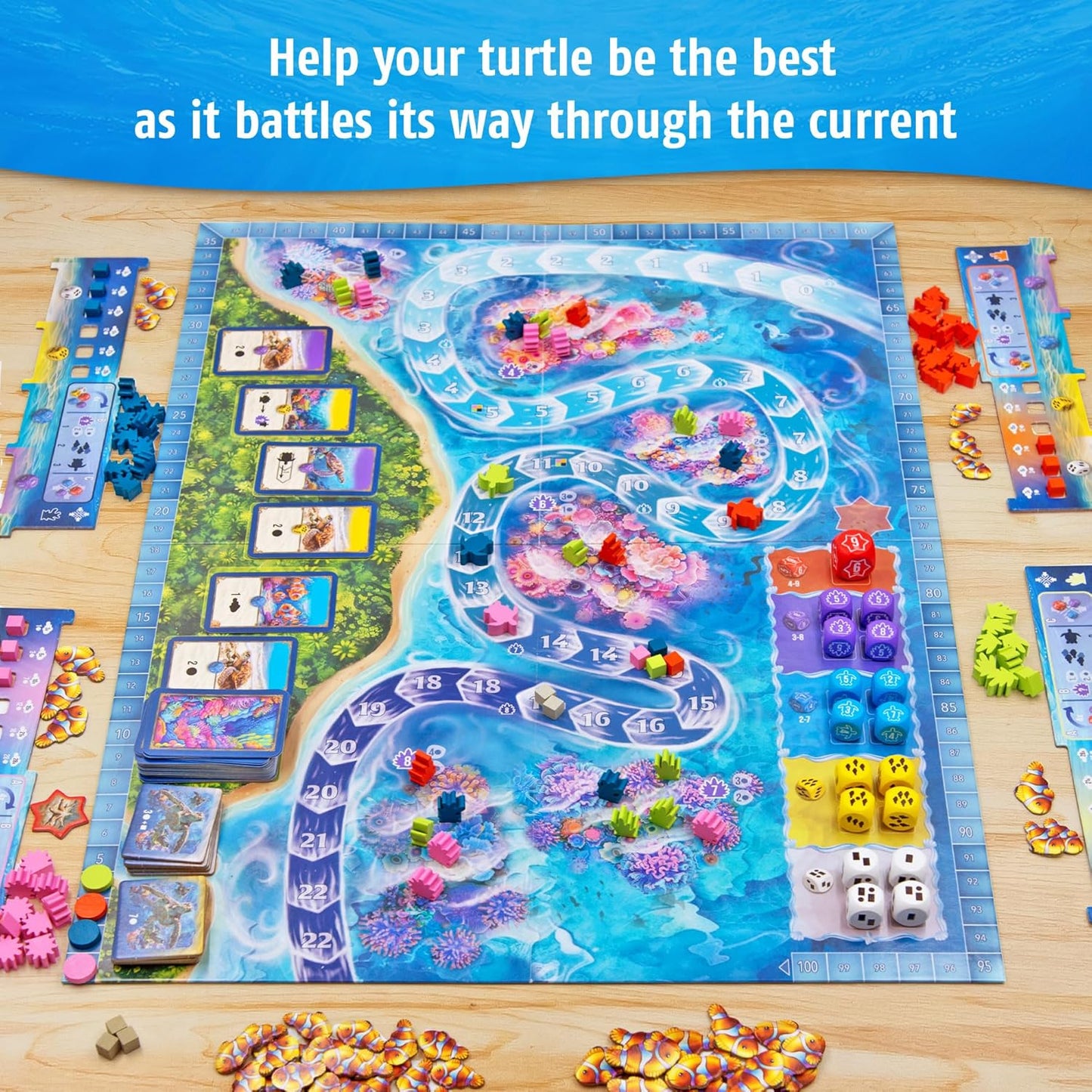 Australis Board Game - Explore The Nature of The Ocean - DICE Drafting Game - 2-4 Players - Ages 10 and UP - 60 Minute Playtime
