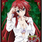 Chara Sleeve Collection High School DxD Born Rias Gremory Card Game Sleeve Mat No.MT243