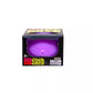 NeeDoh Cool Cats - Sensory Squeeze Toy - Colors May Vary