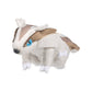 Pokemon Center: Sitting Cuties: Linoone Plush # 264 -  Generation 3 - 6 In