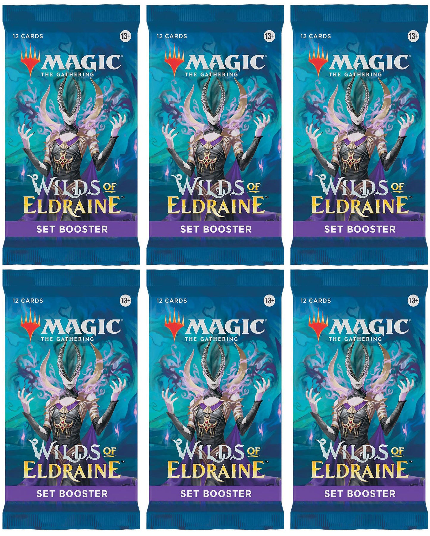 6 Packs MTG Set Booster Pack Lot MTG Wilds of Eldraine