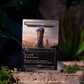 Magic the Gathering Secret Lair x Marvel's Black Panther - Non-Foil Edition