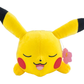 Banpresto: Pokemon Mofugutto Plush Toy Pokemon Summer Pikachu