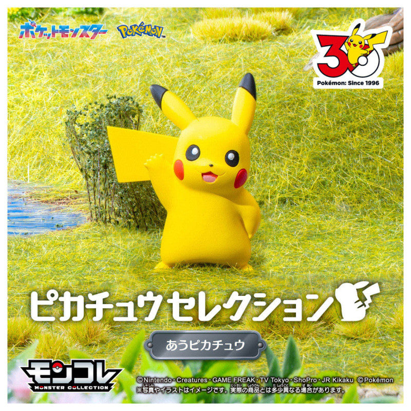 Takara Tomy Pokemon 30th Anniversary Moncolle Pikachu Selection Pikachu Meeting