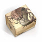 Ultimate Guard: Magic the Gathering: Deck Case Sidewinder 100+ Xenoskin: Avatar the Last Airbender: Koh The Face Stealer