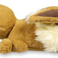 Pokemon 12 Inch Relaxing Plush - Eevee