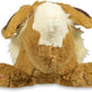 Pokemon 12 Inch Relaxing Plush - Eevee