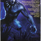 Hasbro 6 Inch Action Figure - Black Panther Legacy Collection - Black Panther