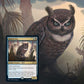 Magic: The Gathering Secret Lair - Non-Foil Edition - Ornithological Studies