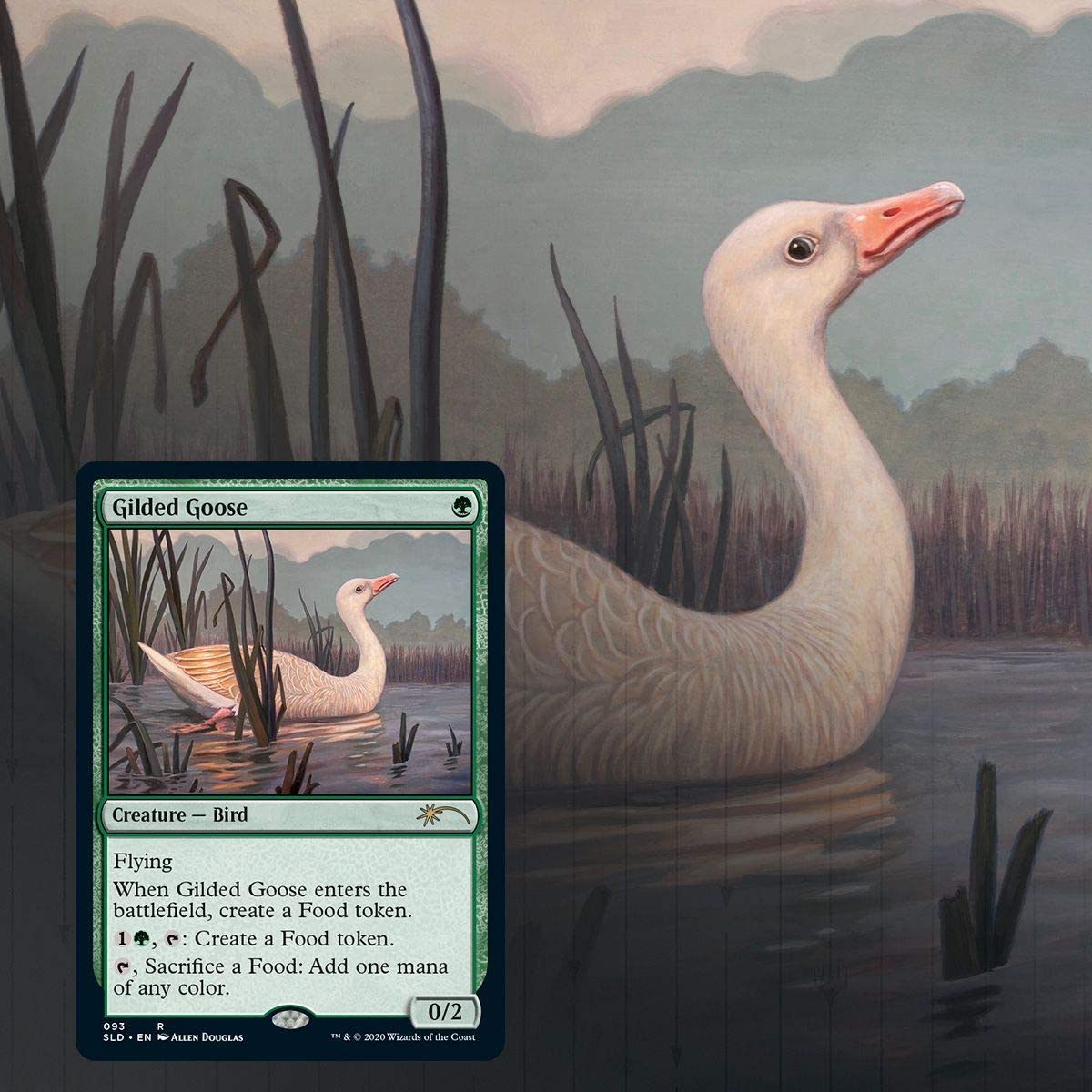 Magic: The Gathering Secret Lair - Non-Foil Edition - Ornithological Studies